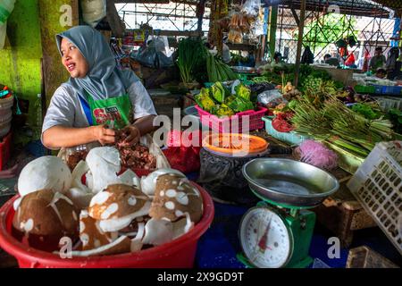 Étals de marché local de fruits de Bintan dans le centre-ville du village de Bintan, île de Bintan, îles Riau, Indonésie. Banque D'Images