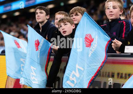 Sydney, Australie, 31 mai 2024. Les fans de Waratah lors du Super Rugby Pacific match entre les Waratahs de la NSW et les Reds du Queensland au stade Allianz le 31 mai 2024 à Sydney, en Australie. Crédit : Pete Dovgan/Speed Media/Alamy Live News Banque D'Images