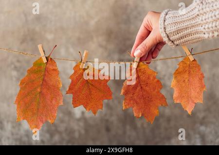 Guirlande maison de feuilles d'automne colorées Banque D'Images