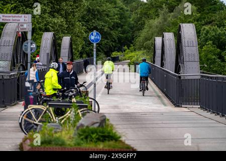 Ehemalige Eisenbahnbrücke über die Ruhr BEI Mülheim an der Ruhr, Jetzt Radweg- und Fußgängerbrücke, Teil des Radschnellwegs Ruhr RS1, NRW, Deutschland, Radschnellwegs Ruhr *** ancien pont de chemin de fer sur la Ruhr près de Mülheim an der Ruhr, aujourd'hui piste cyclable et pont piétonnier, partie de l'autoroute cyclable RS1 de la Ruhr, NRW, Allemagne, route cyclable de la Ruhr Banque D'Images