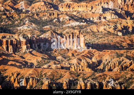 Gros plan de groupes de flèches comme Hoodoos - formation géologique frappante dans le parc national de Bryce Canyon, Utah, États-Unis, le 24 avril 2024 Banque D'Images