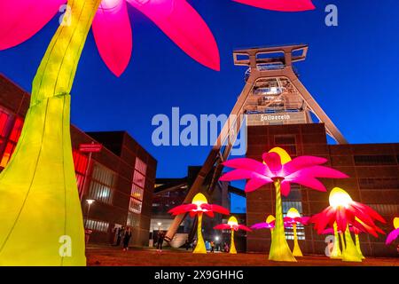 Célébrations pour marquer le 25ème anniversaire de la route du patrimoine industriel dans la région de la Ruhr, festivals de plusieurs jours, le point culminant est le Banque D'Images