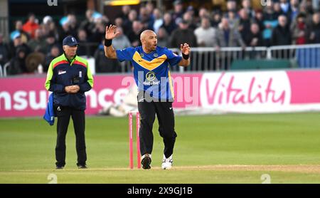 Hove UK 31 mai 2024 - Tymal Mills pendant le match de cricket Vitality T20 Blast entre les Sharks du Sussex et le Gloucestershire au 1er Central County Ground à Hove : crédit Simon Dack /TPI/ Alamy Live News Banque D'Images