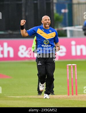 Hove UK 31 mai 2024 - Tymal Mills of Sussex Sharks célèbre avoir pris un guichet pendant le match de cricket Vitality T20 Blast entre Sussex Sharks et Gloucestershire au 1er Central County Ground à Hove : Credit Simon Dack /TPI/ Alamy Live News Banque D'Images