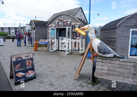 Amble Harbour Village, Amble, Northumberland. Huttes accueillant les petites entreprises. Sculpture lanterne d'une mouette volant une puce Banque D'Images