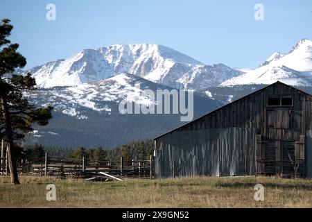 Une ancienne grange au premier plan, avec la face nord enneigée de Pikes Peak, America's Mountain. Depuis la Highway 24 près de Woodland Park, Colorado Banque D'Images