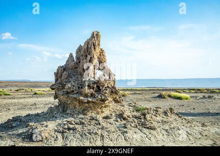 Cheminées calcaires préhistoriques formations rocheuses, lac salé Abbe, région de Dikhil, Djibouti Banque D'Images