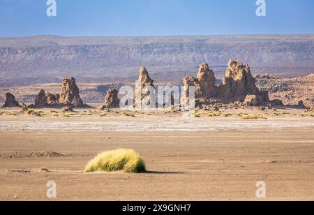 Cheminées préhistoriques calcaires formations rocheuses géologiques, lac salé Abbe, région de Dikhil, Djibouti Banque D'Images