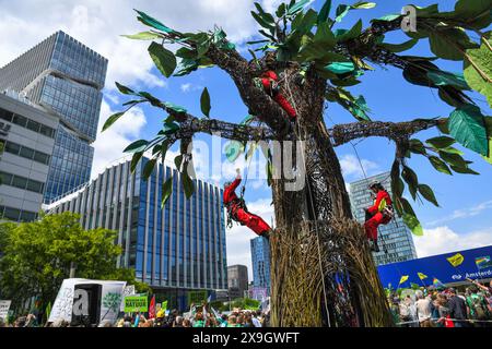 Amsterdam, pays-Bas.31 mai. 2024 . Plus de 10,000 personnes ont défilé dans le quartier des affaires d'Amsterdam pour protester contre le changement climatique. Credit:Pmvfoto/Alamy Live News Banque D'Images