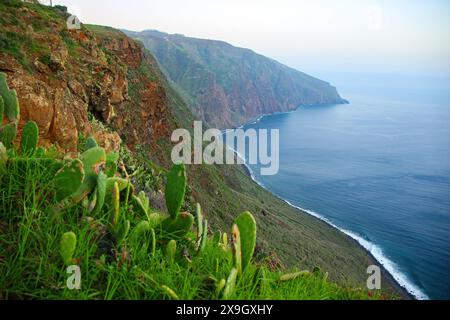 Falaises de mer à Ponta do Pargo sur la côte ouest de l'île de Madère (Portugal) dans l'océan Atlantique Banque D'Images