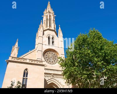 Grande tour d'église avec des décorations détaillées, à côté de lui un arbre, sous un ciel bleu, palma de Majorque sur la mer Méditerranée avec son historique Banque D'Images