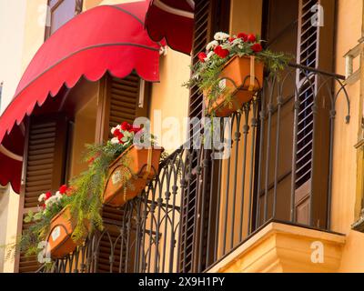 Balcon décoratif avec auvents rouges, pots de fleurs et plantes debout devant les fenêtres d'un bâtiment, palma de Majorque avec ses maisons historiques Banque D'Images