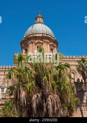 Cathédrale avec un grand dôme et des palmiers devant elle sous un ciel bleu, palerme en sicile avec une impressionnante cathédrale, des monuments et des maisons anciennes Banque D'Images