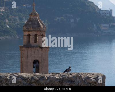 Un clocher avec une colombe au premier plan, la mer et les montagnes en arrière-plan, une atmosphère paisible, la vieille ville de Dubrovnik avec historique Banque D'Images