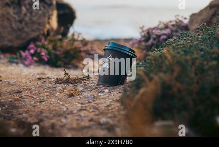 Tasse avec le mot « café » écrit dessus, assis sur le sol. La coupe est entourée de fleurs sauvages colorées. Banque D'Images