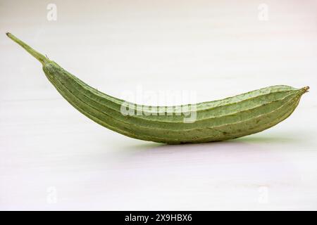 Une seule gourde de luffa inclinée sur une surface en bois clair. Il est également connu comme okra chinois, squash de soie, crête de crête, Jhinga, et Turai. Banque D'Images