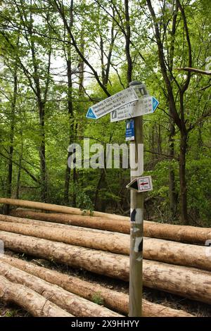 Panneau de randonnée à côté de pile de bois sur un sentier dans la forêt du Palatinat en Allemagne un jour de printemps. Banque D'Images