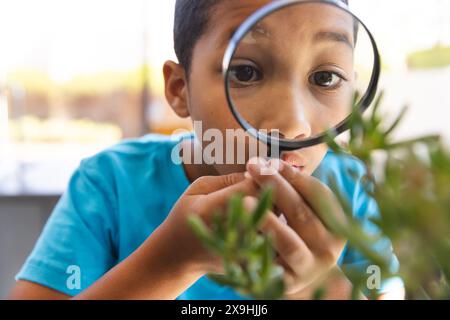 Biracial Boy examine la plante de près dans la classe de science à l'école Banque D'Images