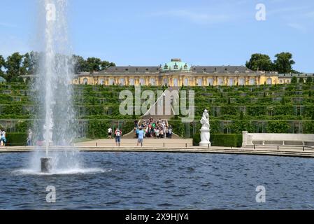 02.07.2012 Schloss Sanssouci Deutschland/ Land Brandenburg/ Potsdam/ Park Sanssouci/ Schloss Sanssouci/ Rokoko Stil/ Hohenzollernschloss/ Besucher/ Publikum/ Touristen/ Treppe/ Weinstöcke/ Wasserfontäne/ Springbrunnen/ ***nutzung nur redaktionell***/ *** 02 07 2012 Palais de Sanssouci Allemagne Land Brandebourg Potsdam Park Sanssouci Palais de Sanssouci Rococo style Hohenzollern Palace visiteurs audience touristes escaliers vignes fontaine d'eau fontaine utilisation éditoriale seulement Banque D'Images