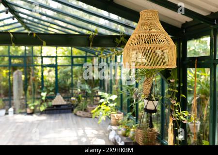 Au Glass House Studio, lampe en osier suspendue, entourée de plantes luxuriantes Banque D'Images