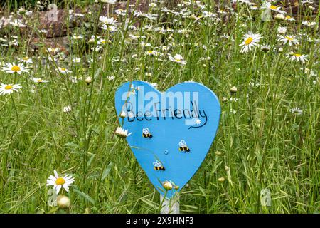 Signe en forme de cœur amical pour les abeilles parmi les fleurs sauvages dans le cimetière, Surrey, Angleterre, Royaume-Uni Banque D'Images