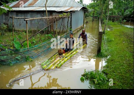 Sylhet, Bangladesh. 30 mai 2024. Un homme du village croise des enfants sur un radeau de bananes fait à la main à travers une route goudronnée dans la région de Nayakhel à Goainghat upazila. Il est à noter que de nombreuses personnes ont quitté leur domicile et se sont rendues dans des refuges sûrs. Les zones basses et horifères de trois syndicats de l'upazila de Jaintapur à Sylhet sont inondées en raison de crues soudaines provoquées par de fortes pluies et de l'eau des pentes des collines. Environ 300 000 personnes dans quatre upazilas ont été piégées dans l'eau en raison des inondations soudaines. Banque D'Images