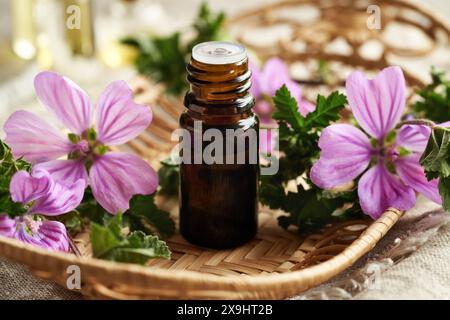 Un flacon compte-gouttes marron d'huile essentielle de mauve avec une plante malva sylvestris en fleurs Banque D'Images