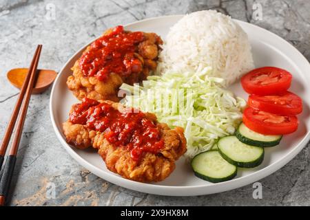 Ayam geprek est un plat typiquement indonésien de poulet frit au sambal servi avec du riz blanc, du concombre, de la tomate et du chou en gros plan sur l'assiette du Banque D'Images