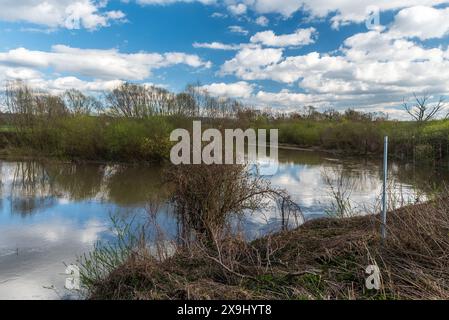 La rivière Odra sinueuse près de la ville d'Ostrava en république tchèque au début du printemps Banque D'Images