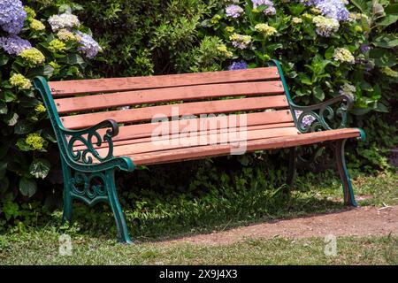 Banc brun vide avec encadrement vert foncé dans le parc avec fond de jardin. Banque D'Images