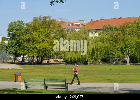Preußenpark, Wilmersdorf, Bezirk Charlottenburg-Wilmersdorf, Berlin, Deutschland Banque D'Images