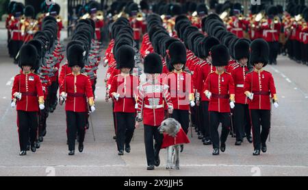 Mémorial de la Reine Victoria, Londres, Royaume-Uni. 1er juin 2024. La revue du Major général sur le Trooping of the Colour pour le défilé d’anniversaire du roi a lieu. Cette répétition est la première de deux revues formelles en uniforme complet des troupes et des chevaux avant de défiler pour la parade officielle d’anniversaire de SM le Roi le 15 juin. Les soldats sont inspectés par le major-général James Bowder OBE. Image : les gardes quittent la caserne de Wellington en marchant vers Horse Guards Parade pour la revue avec Seamus, la mascotte des gardes irlandais au front. Crédit : Malcolm Park/Alamy Live News Banque D'Images