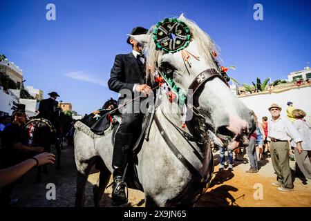 Jeux PLA, galoping cavaliers, festival Sant Joan. Ciutadella. Minorque, Îles Baléares, Espagne. Banque D'Images