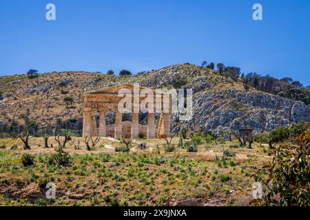 L'ancien temple dorique à Segesta, Sicile Banque D'Images