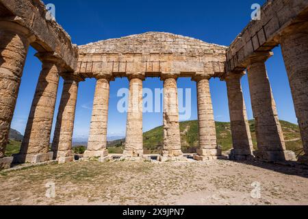 L'ancien temple dorique à Segesta, Sicile Banque D'Images