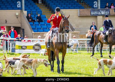 SHEPTON MALLET, SOMERSET, Royaume-Uni, 1er juin 2024, défilé d'une meute de chiens menée par le maître de chasse dans son rose chasse, au Royal Bath and West Show 2024. Crédit John Rose/Alamy Live News Banque D'Images