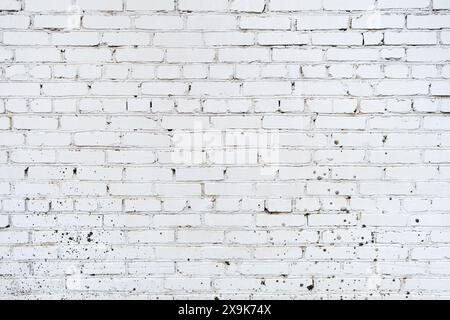 Brique vieux fond blanc de texture de mur. Plantes vertes encadrant la vieille brique, clôture en briques murales, mur de pierre rétro avec espace de copie, extérieur en brique, Banque D'Images