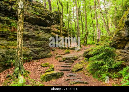 Promenade en forêt entre les piliers de Herkules Scrap Rocks, Bielatal, Suisse saxonne, Allemagne Banque D'Images
