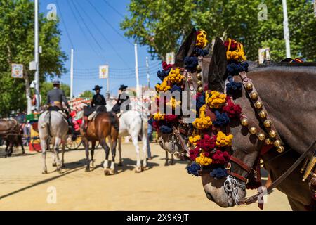 Foire d'avril de Séville, Feria de Abril de Sevilla ou Foire de Séville, avec chevaux décorés, mules et cavaliers à cheval au festival. Paysage urbain de Séville. Banque D'Images