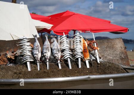 Málaga tradition, espetos (sardines sur brochettes) sur un barbecue à flamme nue, fosse de barbecue sur la plage de Malagueta à Malaga, Costa Del sol, Espagne. Personne. Banque D'Images