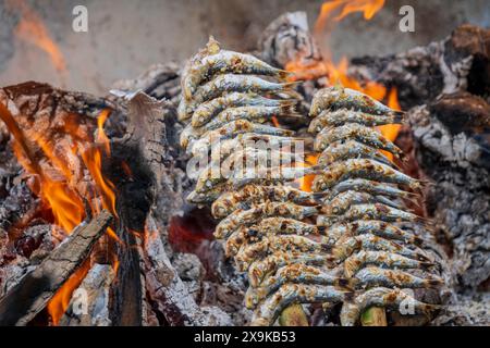 Les sardines grillées, connues sous le nom d'Espetos, sont une cuisine espagnole traditionnelle à Malaga, en Espagne. Le poisson frais est cuit sur des brochettes au-dessus d'un foyer de bois ouvert Banque D'Images