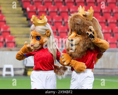 Prague, Tchéquie. 31 mai 2024. Photo prise lors d'un match opposant les équipes nationales de Tchéquie et de Belgique, appelées les Red Flames, lors du troisième jour de match du Groupe A2 dans la phase de championnat des qualifications européennes féminines de l'UEFA 2023-24, le vendredi 31 mai 2024 à Prague, en Tchéquie. Crédit : Sportpix/Alamy Live News Banque D'Images