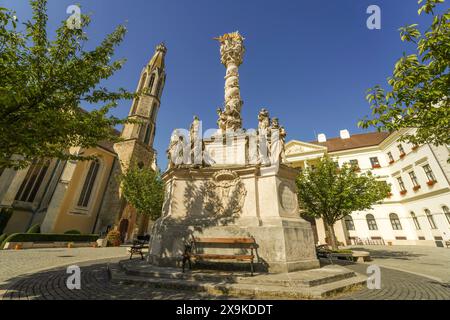 Gros plan de la statue de la Sainte Trinité, Szentháromság-szobor, avec l'église bénédictine de la Bienheureuse Marie, église de la chèvre, sur la place principale de Sopron, Hongrie. Banque D'Images