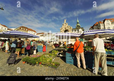 Place du marché agricole, marché aux légumes ou place du marché aux choux à Brno, République tchèque (Tchéquie). Les gens magasinent au marché en plein air dans la vieille ville. Banque D'Images