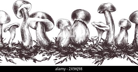 Champignons comestibles forestiers porchini, boletus, chanterelles avec mousse. Illustration graphique, dessinée à la main à l'encre brune, dessin au trait monochrome. Sans couture Illustration de Vecteur