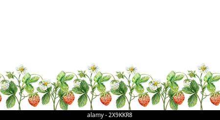 Bordure sans couture de buissons de fraises. Brindilles vertes avec des feuilles, des fleurs, des baies. Illustration d'aquarelle dessinée à la main isolée sur fond blanc. Wrappin Banque D'Images