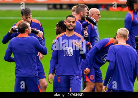 Zeist, pays-Bas. 01 juin 2024. ZEIST, PAYS-BAS - 1er JUIN : Cody Gakpo, des pays-Bas, fait des gestes lors d'une séance d'entraînement de l'équipe néerlandaise de football sur le campus KNVB le 1er juin 2024 à Zeist, pays-Bas. (Photo par Andre Weening/Orange Pictures) crédit : Orange pics BV/Alamy Live News Banque D'Images