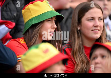 LLANELLI, PAYS DE Galles - 31 MAI 2024 : les fans du pays de Galles lors du match de qualification de la Ligue B de l'UEFA Women's Euro 2025 entre les femmes du pays de Galles et les femmes de l'Ukraine au Parc y Scarlets à Llanelli le 31 mai 2024. (Photo par Ashley Crowden/FAW) Banque D'Images