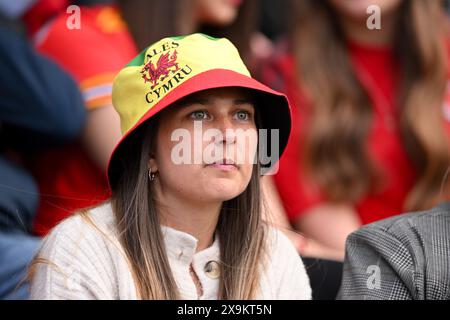 LLANELLI, PAYS DE Galles - 31 MAI 2024 : les fans du pays de Galles lors du match de qualification de la Ligue B de l'UEFA Women's Euro 2025 entre les femmes du pays de Galles et les femmes de l'Ukraine au Parc y Scarlets à Llanelli le 31 mai 2024. (Photo par Ashley Crowden/FAW) Banque D'Images