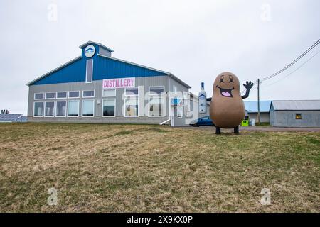 Mascotte de pommes de terre chez Blue Roof Distillers à Malden, Nouveau-Brunswick, Canada Banque D'Images